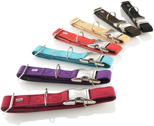 hunter softie dog collar