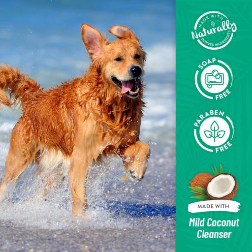 tropiclean oatmeal dog shampoo