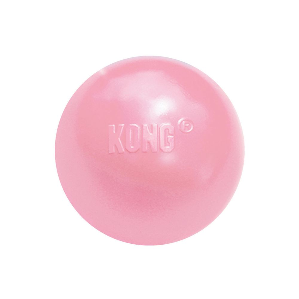 Miscota KONG Puppy Ball