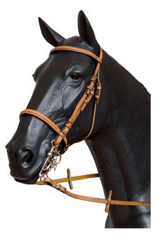 English Bridle T-7 Front. And Mus. Trenz Full Avellana