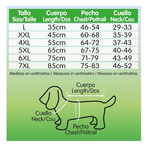 Arquivet Piscina para Perros - Miscota Ecuador