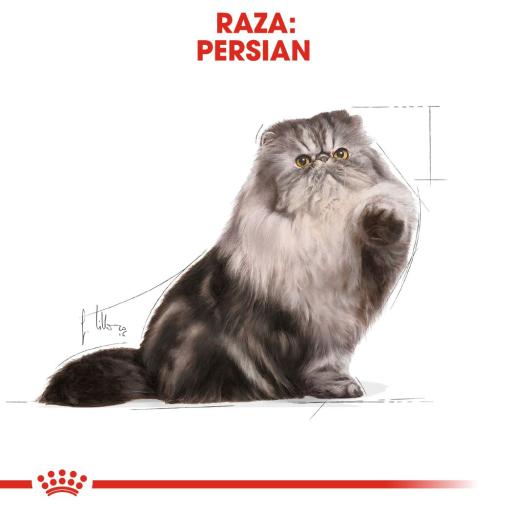 royal canin fbn persian