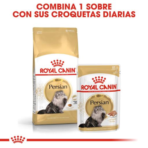 royal canin persian kitten wet food