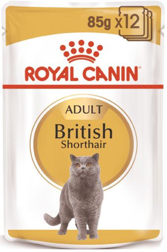 royal canin british shorthair wet food