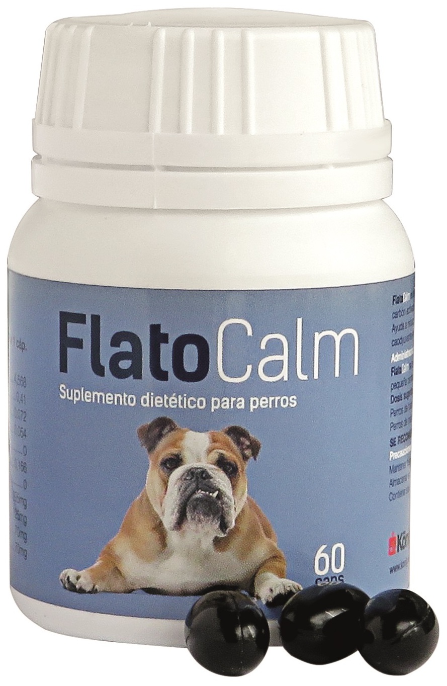 Miscota König Flatocalm 60 Capsule