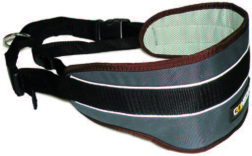 Num'axes Ceinture Sport Coneckt 