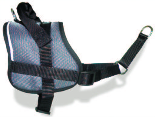 Num'axes Education Coneckt Training Harness -Gray