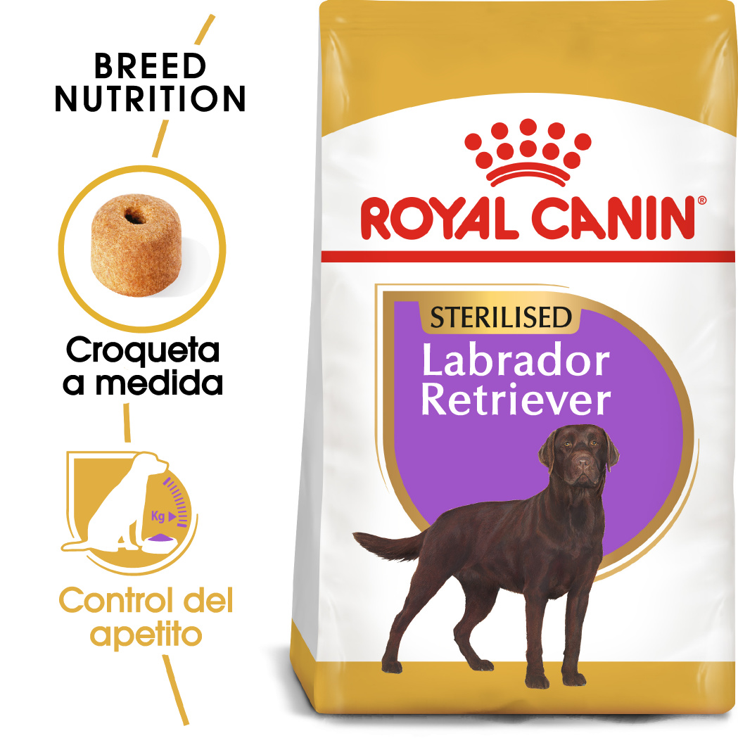 Miscota Royal Canin Labrador Retriever Adult Sterilised