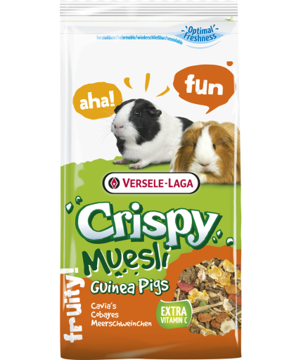 Crispy Muesli Guinea Pigs