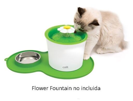 catit water dish