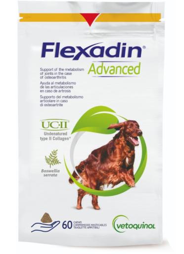 Flexadin Advanced Gemeinsame Betreuung