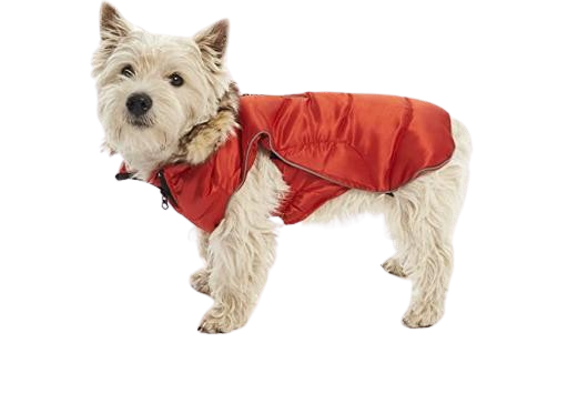 Miscota Kruuse Buster Active Dog Coat Rosso