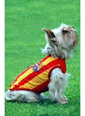 fc barcelona dog jersey