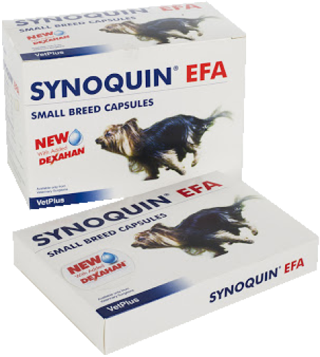 Synoquin Joint Chondroprotector for Small Dogs