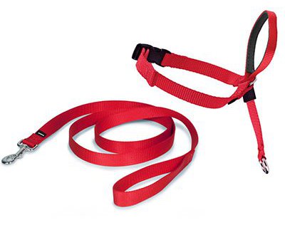 Miscota Nayeco Easy Walk Ronzal anti-cane tira (Red) Taglia S