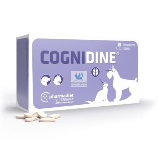Cognidine Suplemento para Transtornos del Deterioro Cognitivo en Perros y Gatos Senior