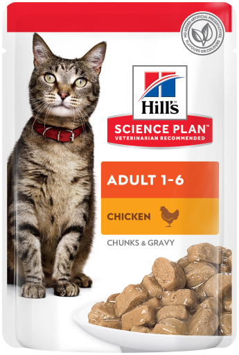 Science Plan Adult Pouches Tender Chicken Chunks in Gravy
