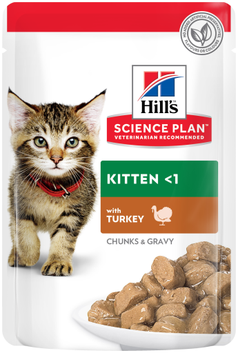 Comida Húmeda Science Plan Kitten de Pavo para Gatitos