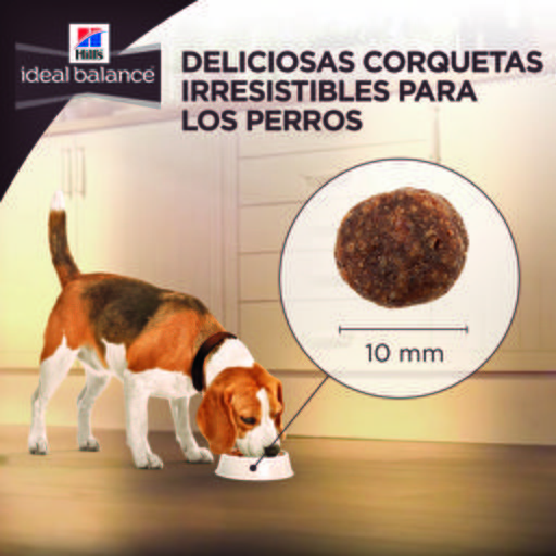 Hill's IB Canine Adult Raza Grande sin Cereales Pollo y Patata