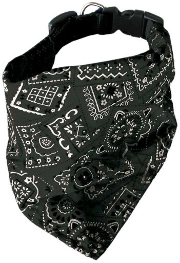 Ica pa&ntilde;uelo Collar