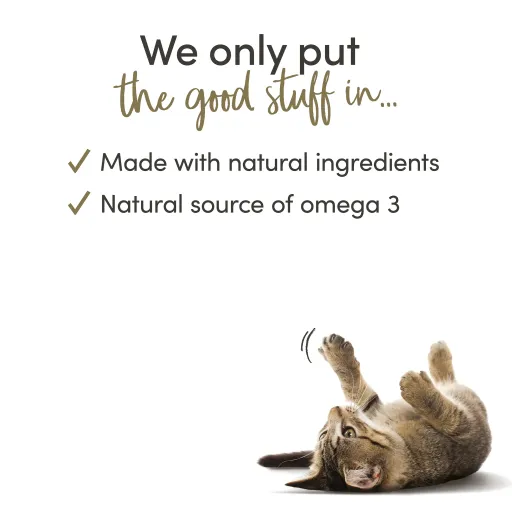 Applaws G&eacute;latine de Thon avec Maquereau pour Chats