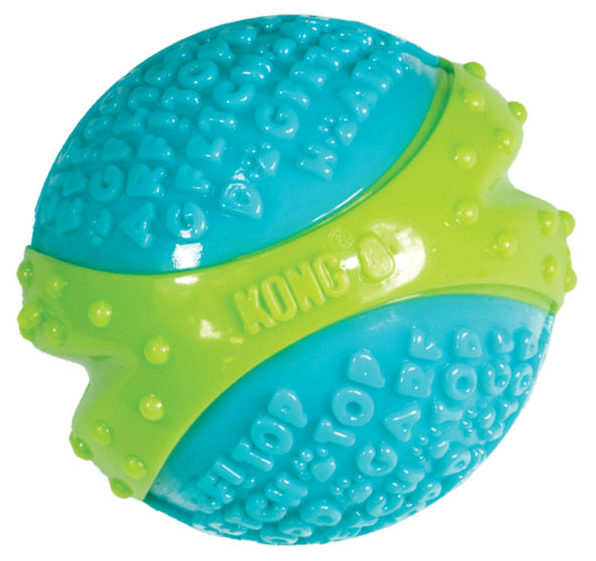 Miscota KONG Palla Corestrength Ball