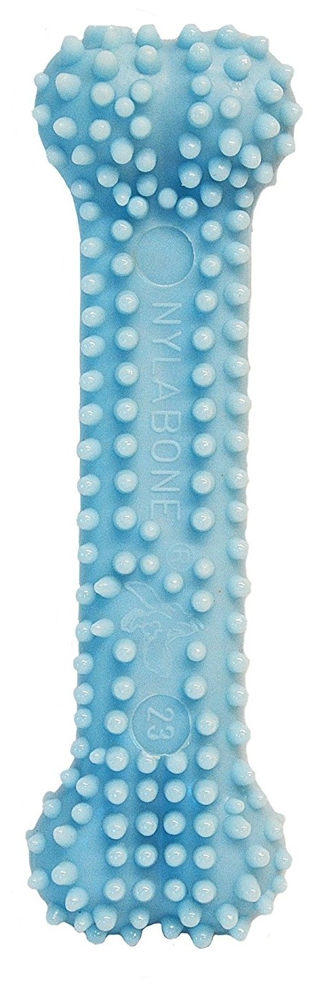 Miscota Nylabone Blue Dental Chew Xs