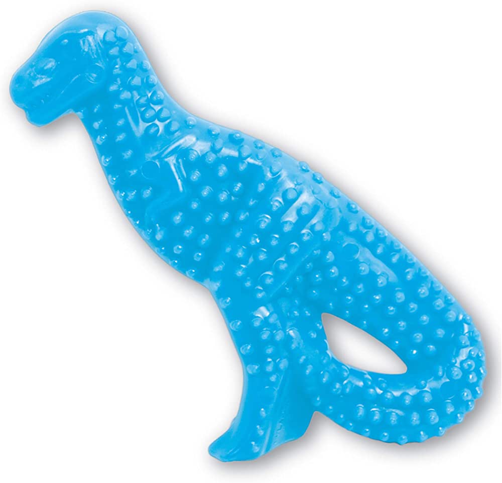 Miscota Nylabone Puppy Teething Dental Dino S Chicken Flavor