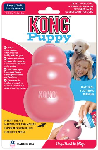 kong puppy large
