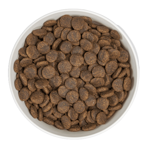 Era Hundefutter für Erwachsene Mittelgroße und Große Hunde Ente & Lamm Era Hundefutter für Erwachsene Mittelgroße und Große Hunde Ente & Lamm