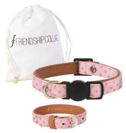 Cat friendship shop collar