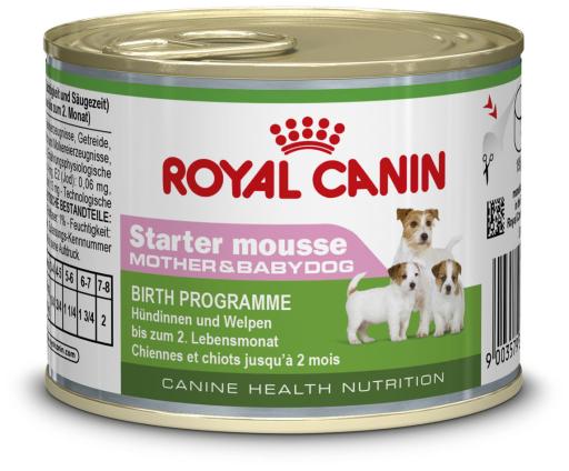 Smash Investeren Consumeren Royal Canin Starter Mousse