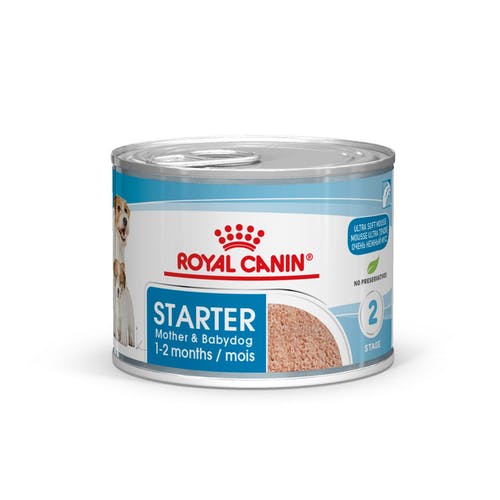 Miscota Pacco 12 Royal Canin Cibo Secco per Cani Starter Mousse