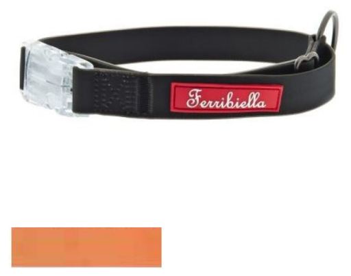 arsenal dog collar
