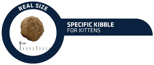 Advance Kitten Pollo y Arroz