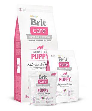 brit care puppy salmon & potato 12kg