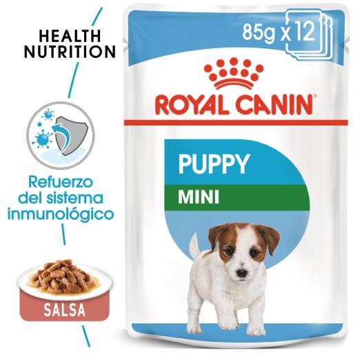 Café Generosidad Mensurable Royal Canin Comida Húmeda Mini Puppy para Perro - Miscota Chile