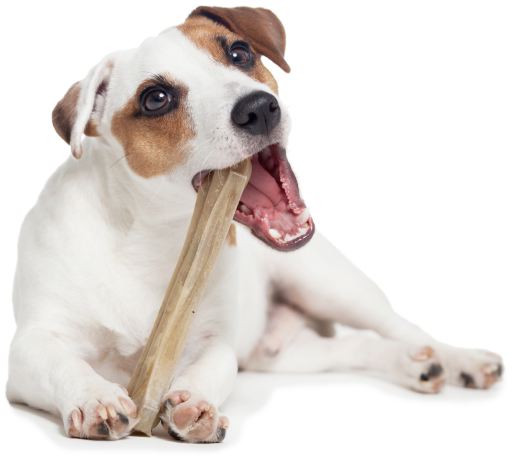 Apetitus Gepresste Knochen