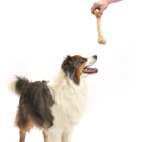 Apetitus Geknotete Knochen