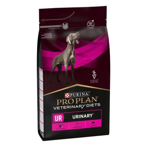 UR Urinary Canine