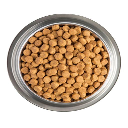 purina joint mobility dog food