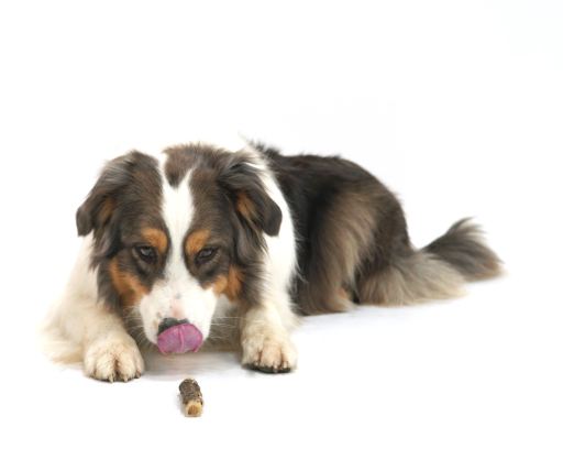 Apetitus Rouleau de Saumon