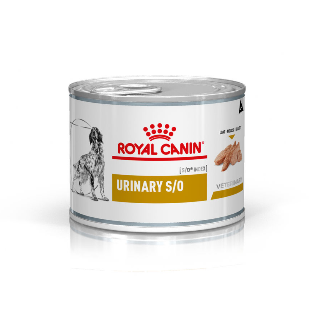 Miscota Pacco 12 Royal Canin Cibo umido urinario S/O Canino