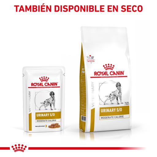 royal canin urinary so moderate calorie dry for dogs