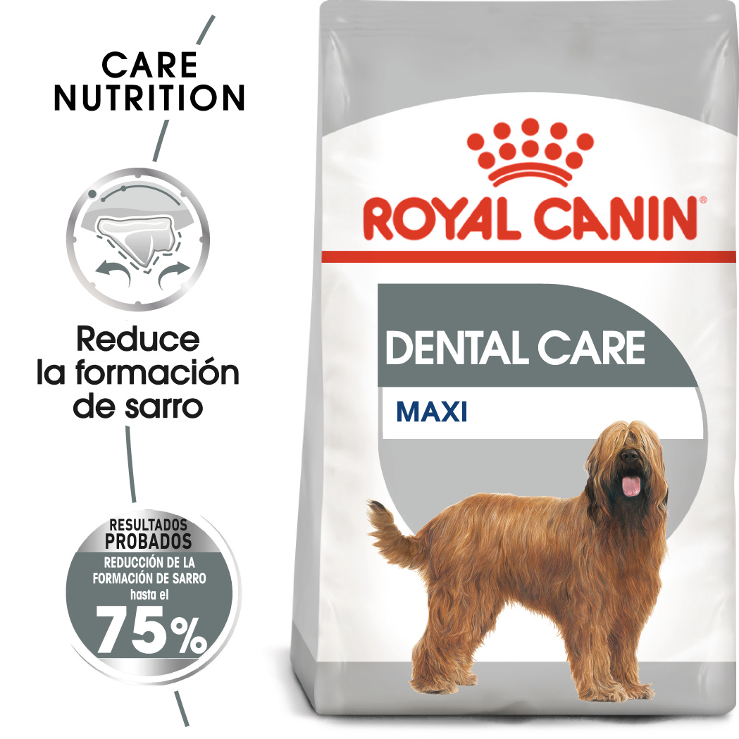 Miscota Royal Canin Maxi Dental Care