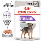 Sterilized 85 gr