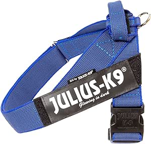 Miscota Julius K9 IDC Harness Blue Ribbon