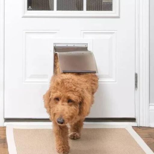 Petsafe aluminum pet door hotsell