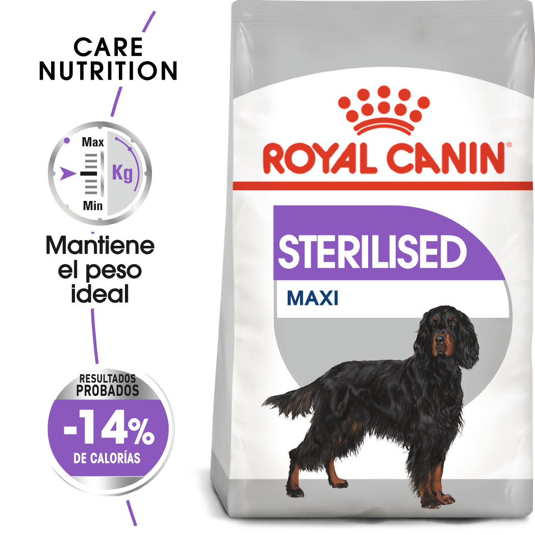 Miscota Royal Canin Maxi Sterilised Sterilised Adult Dog Food