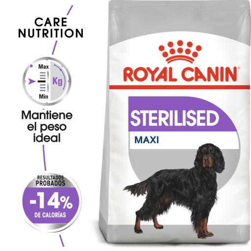 Maxi Sterilised Aliments pour chiens adultes de grande taille